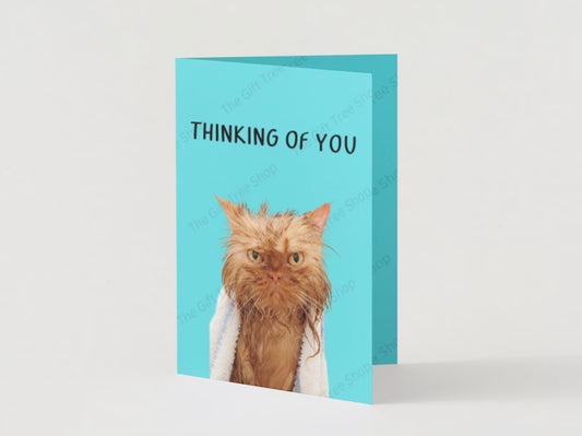 Funny 'Thinking of You' Cat Card