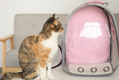 Kitty's Go-Go Travel Backpack
