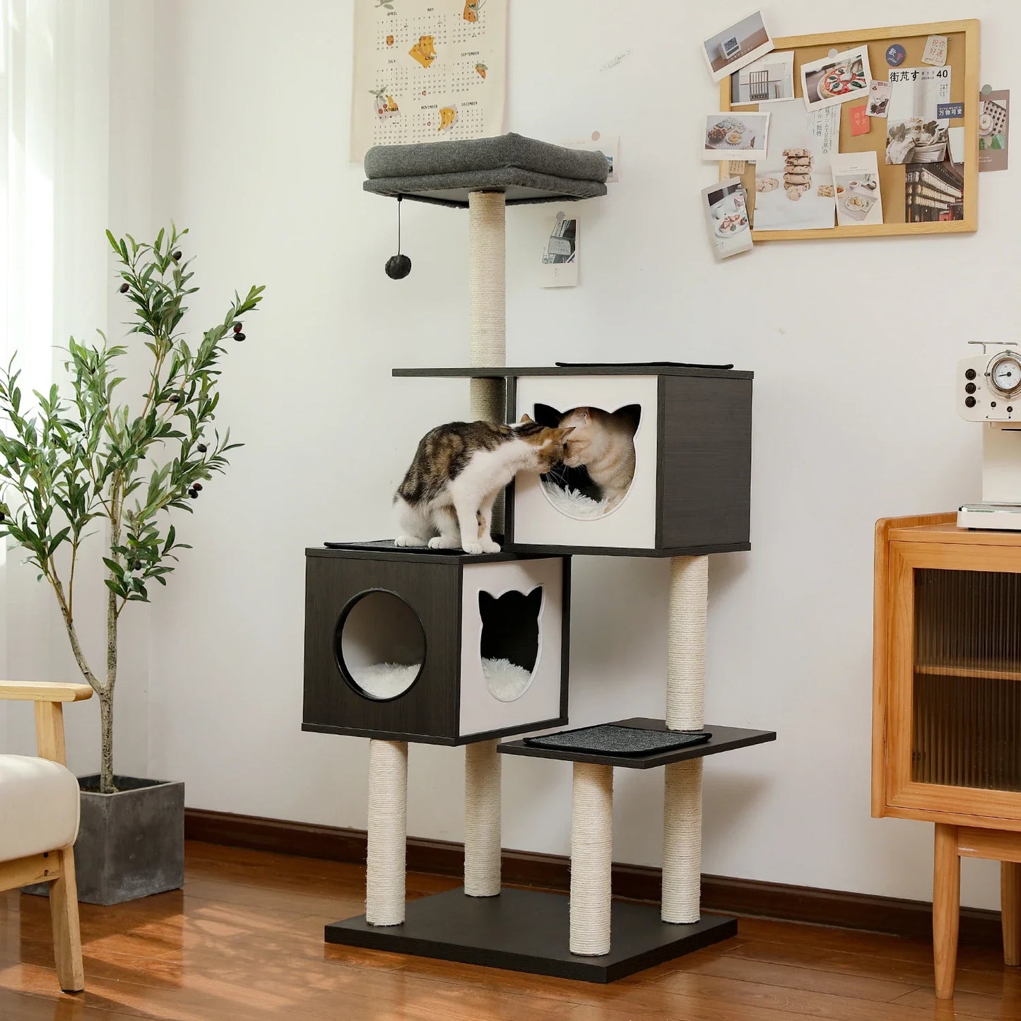 Lucky's Luxury Cat Trees