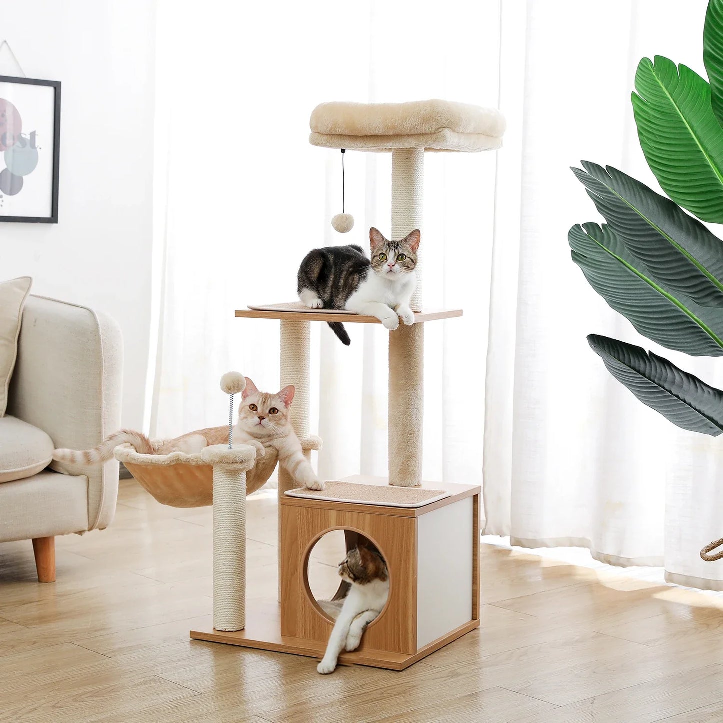 Lucky's Luxury Cat Trees