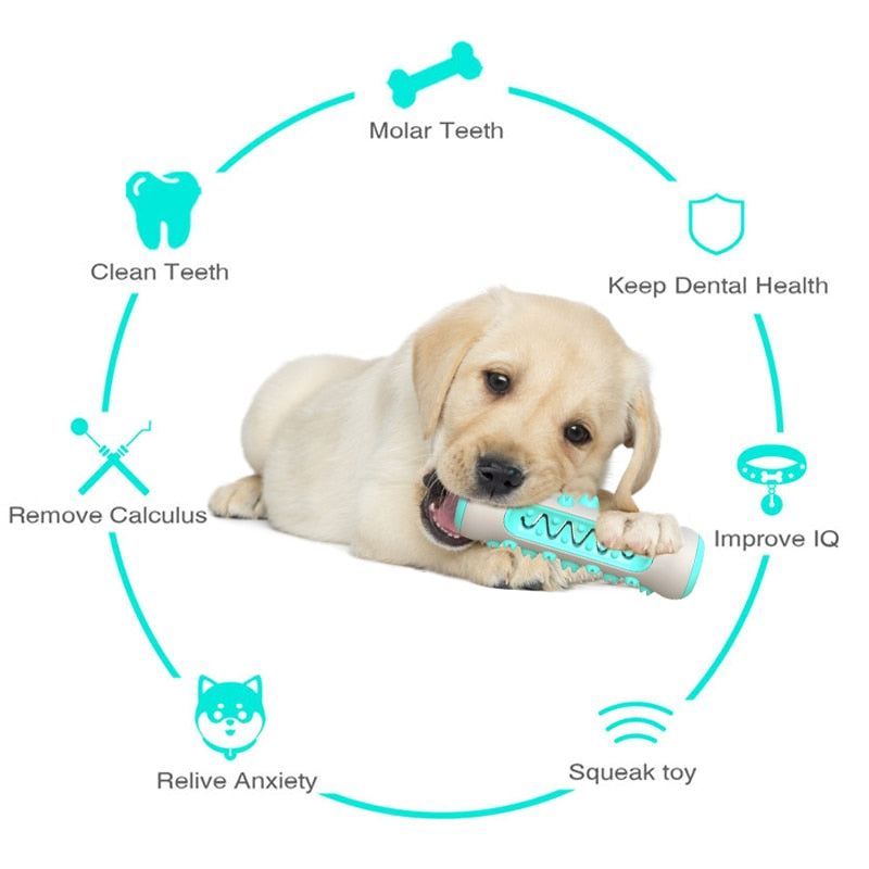 DOG PLAY 'N CHEW TOOTHBRUSH