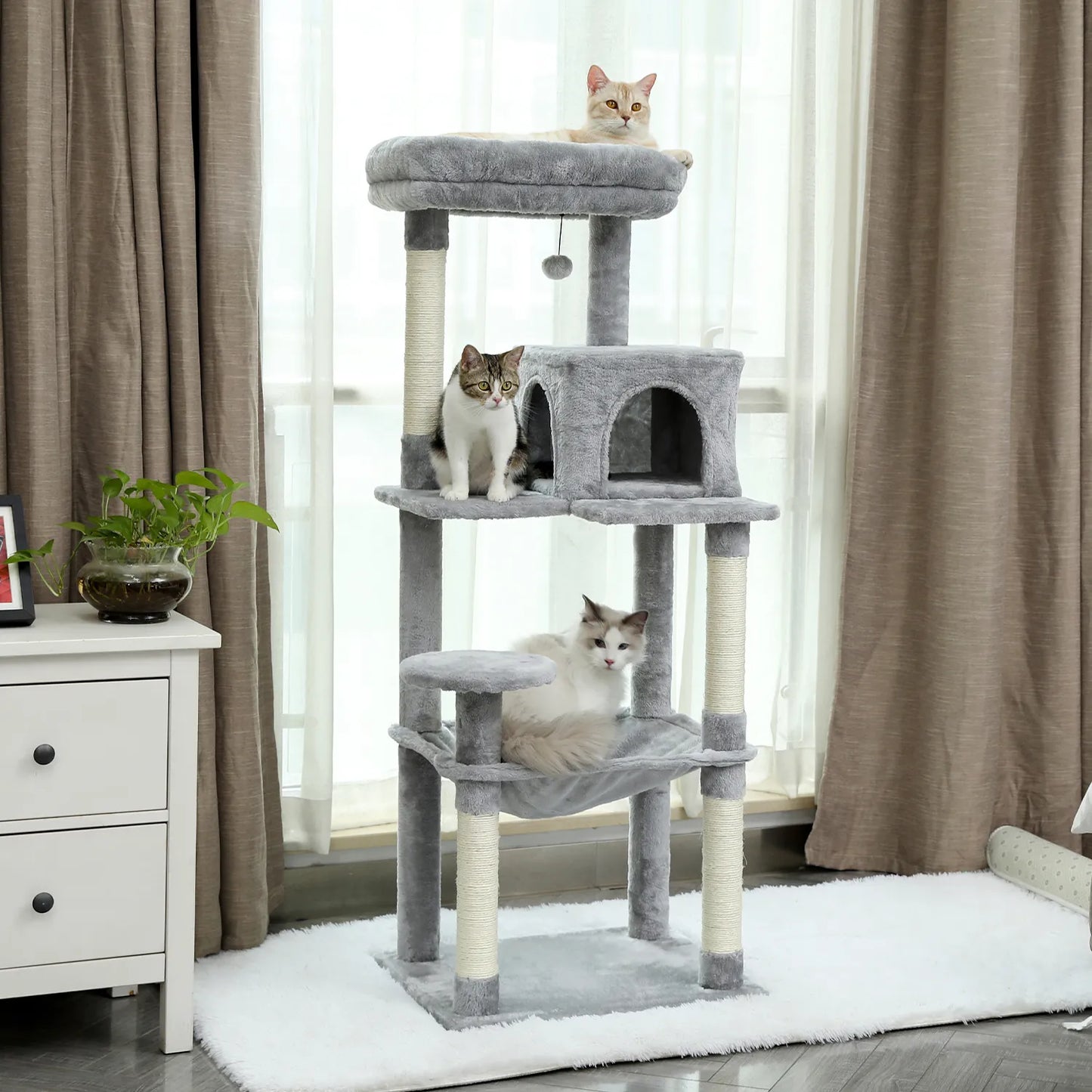 Lucky's Luxury Cat Trees