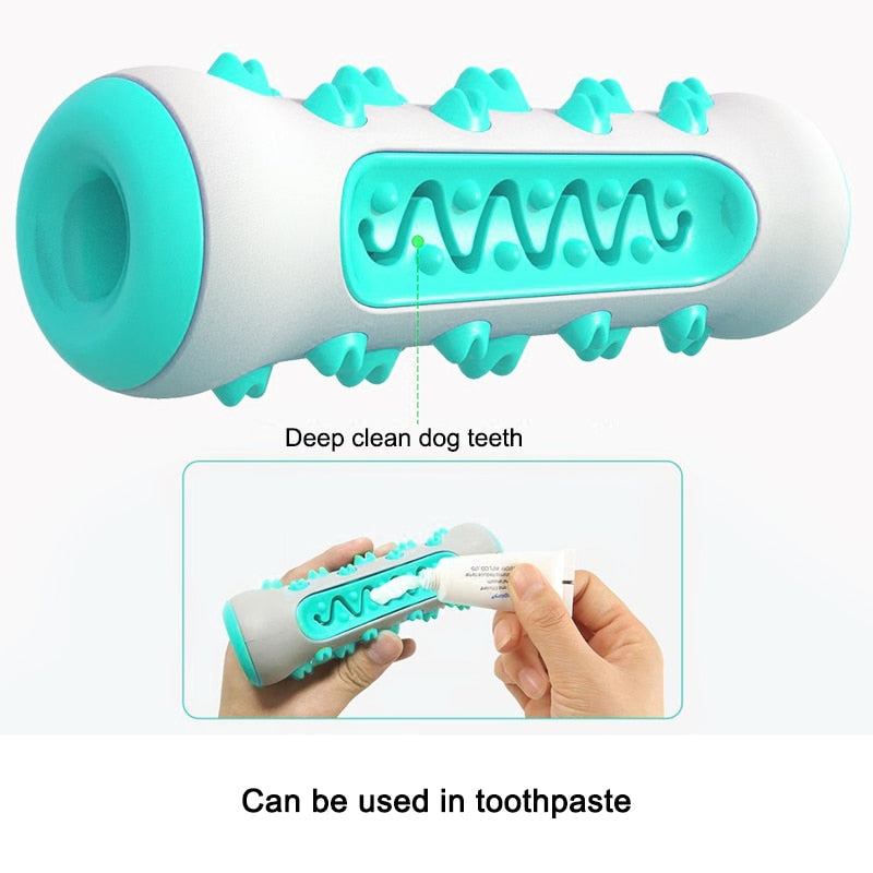 DOG PLAY ' N CHEW TOOTHBRUSH