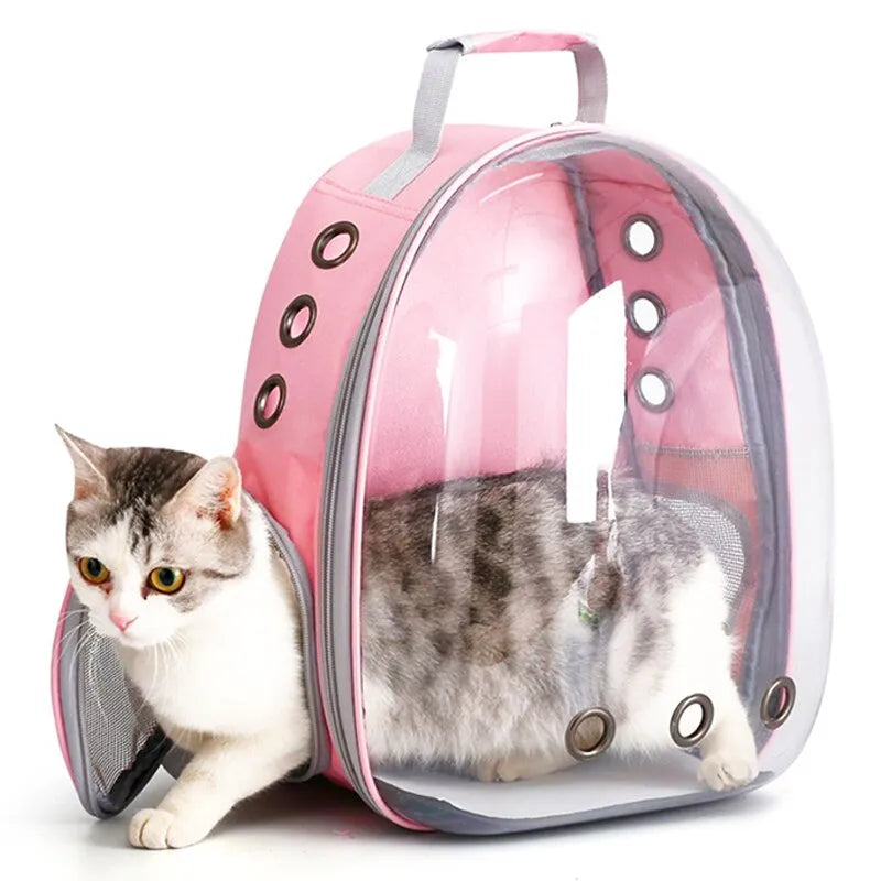 Kitty's Go-Go Backpack